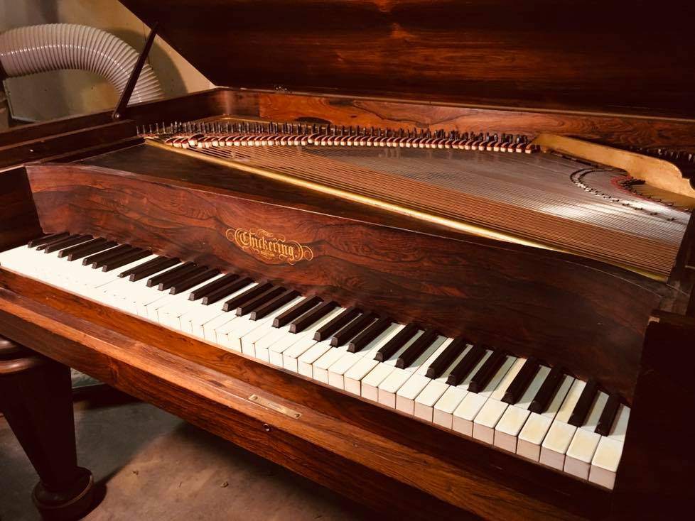 69174847_2545791208814987_8872279222278684672_n